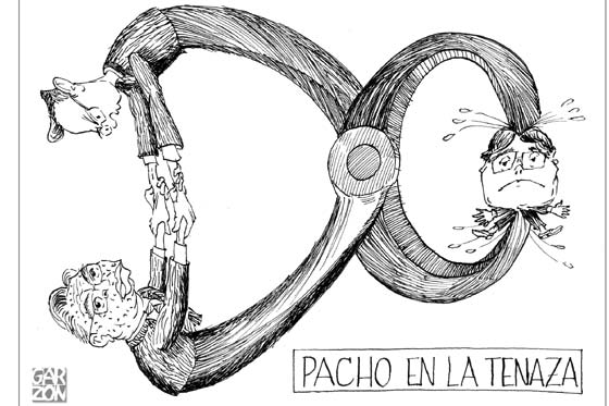 Cartones de Garzón