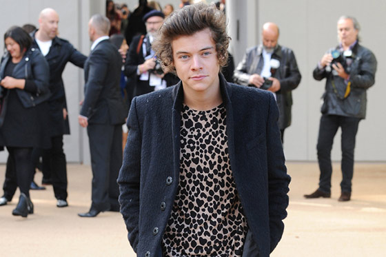 Harry Styles quiere conquistar a Miley Cyrus