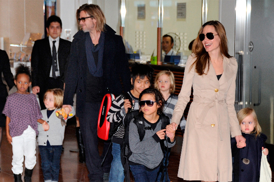 Brad Pitt construye un zoológico para sus hijos