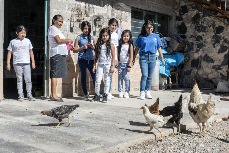 De Nueva York a un pueblo mexicano: el viaje de hijos de indocumentados