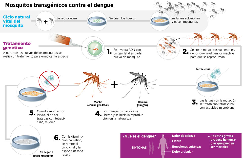 La segunda era de los transgénicos