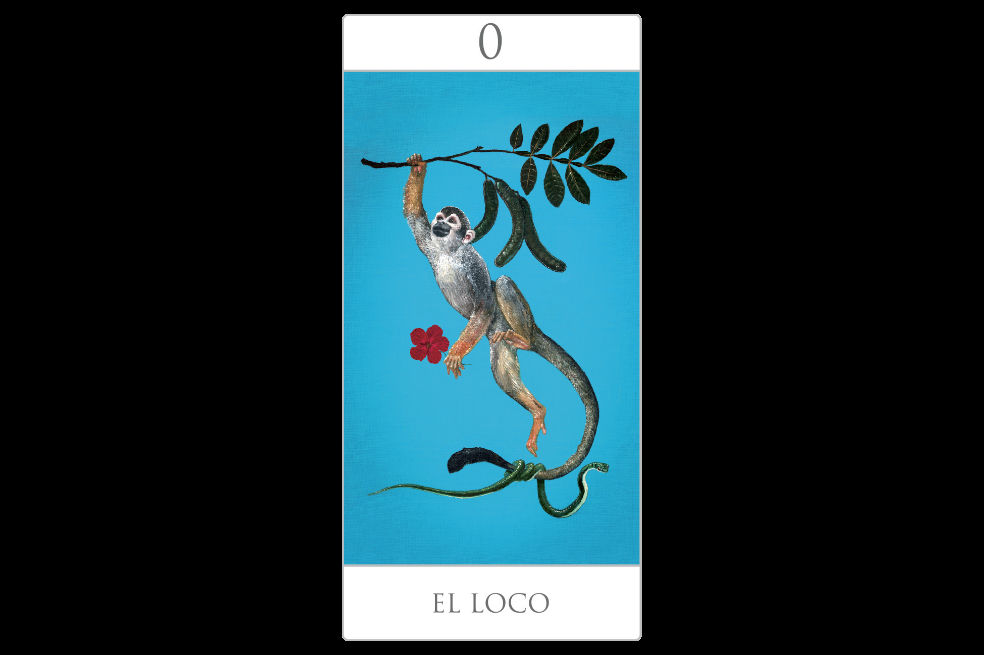 El tarot inspirado en la biodiversidad colombiana