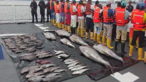 Este año se incautaron 38 toneladas de pesca ilegal.