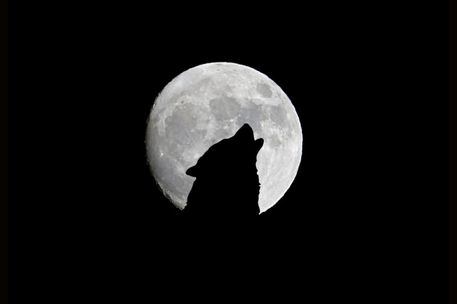 Luna llena de enero 2025 y su impacto en Sagitario, Capricornio, Acuario y Piscis