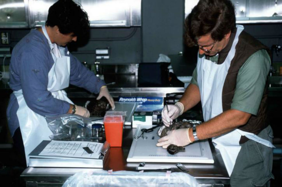 El Ministerio de Ciencia, a un debate de ser realidad