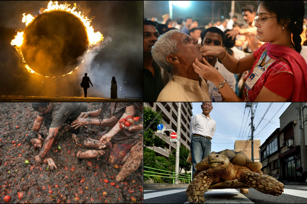 Las curiosidades de la semana