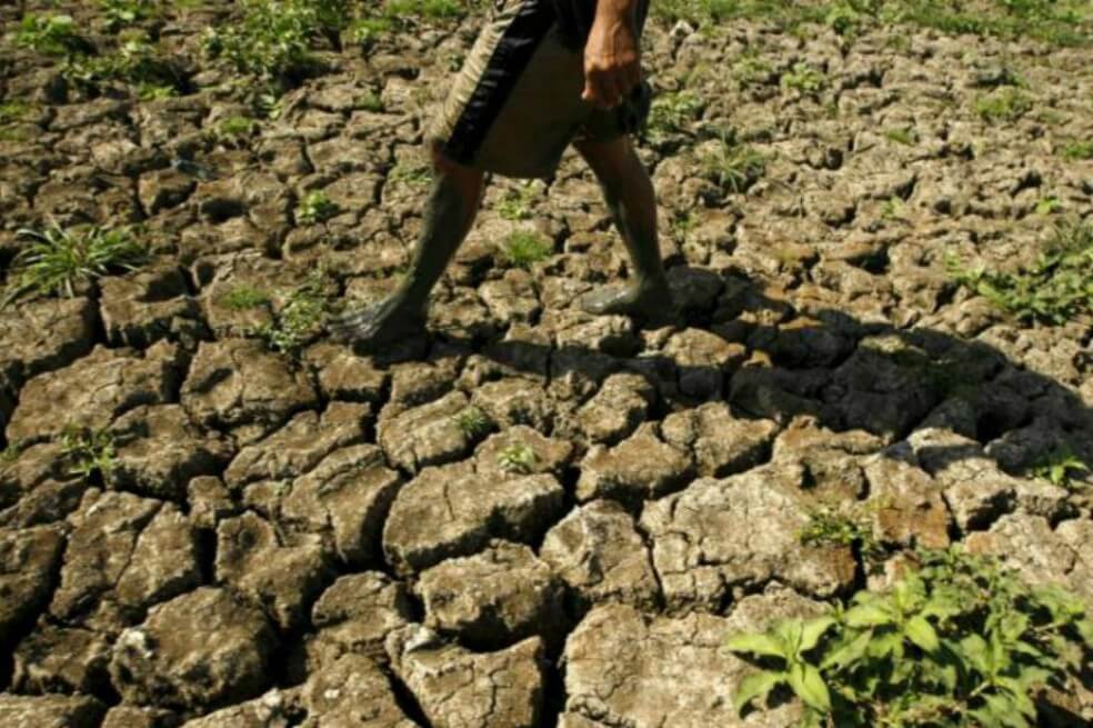 Estudio advierte que dentro de 50 años se vivirá un calor extremo