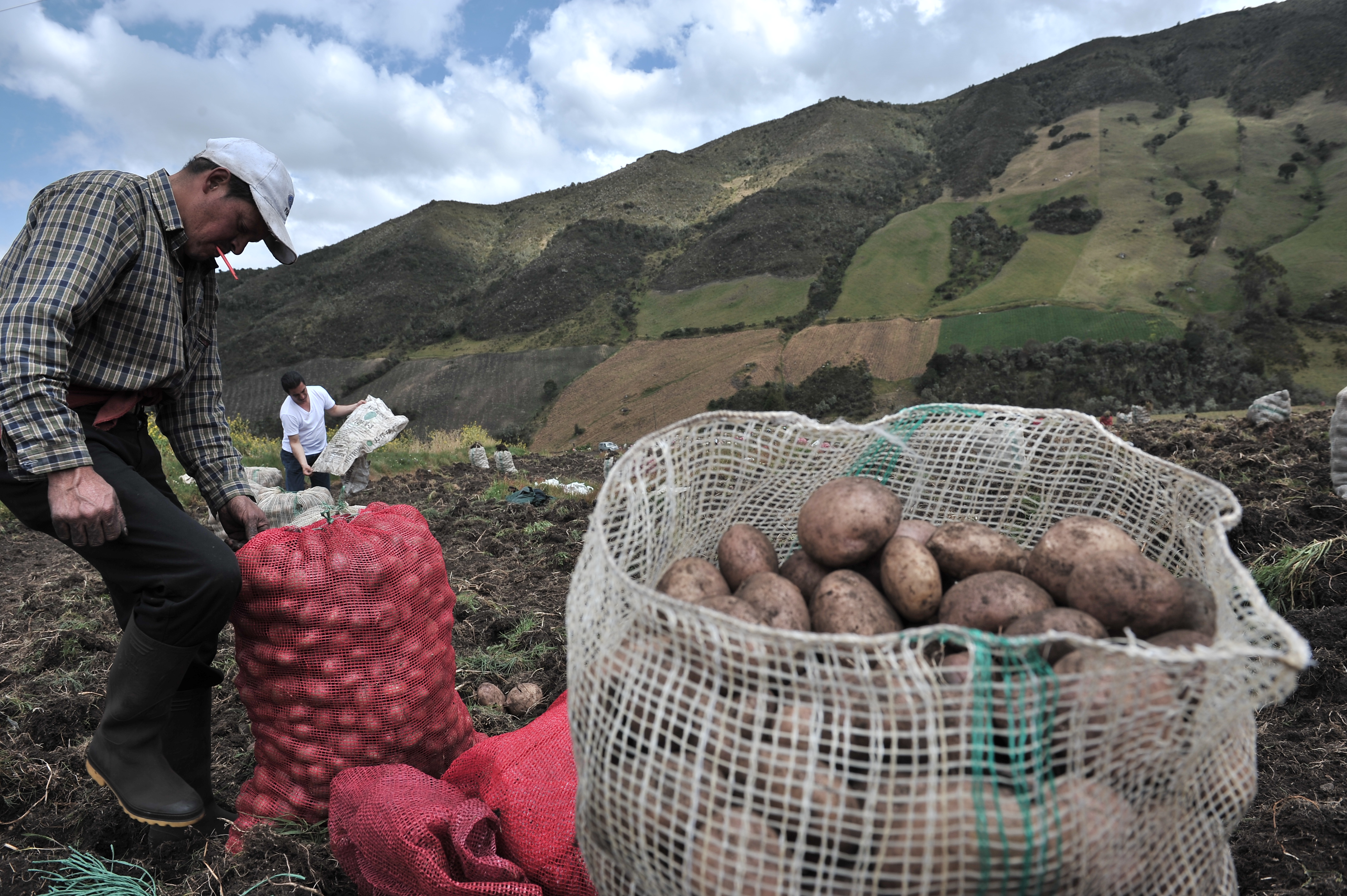 Gobierno anuncia plan para la distribución de alimentos represados por el paro