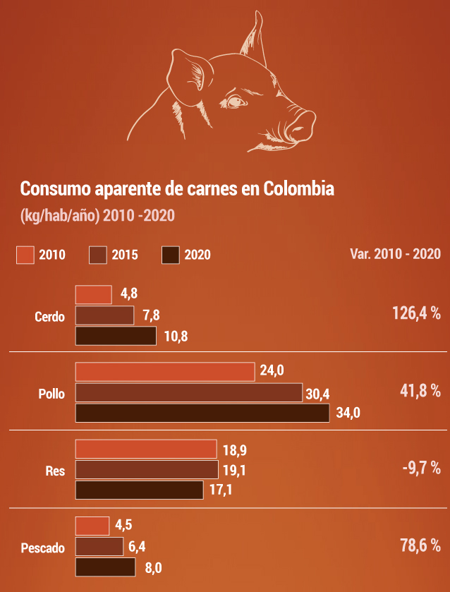 Evolución del consumo de carne de cerdo en Colombia.