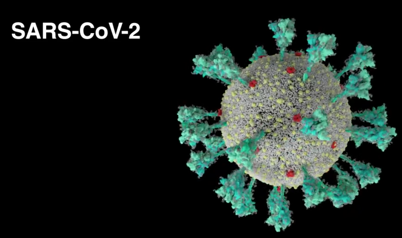 Un video animado muestra cómo entra el coronavirus al cuerpo