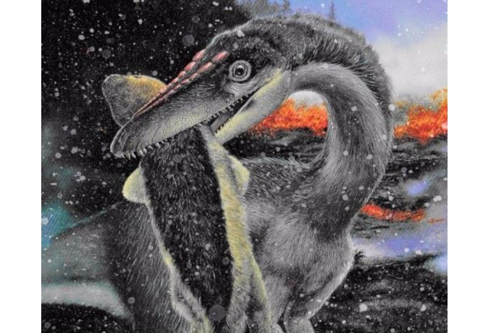 ¿Cómo los dinosaurios sobrevivieron a ‘apocalipsis’ de hielo?, estudio revela pistas