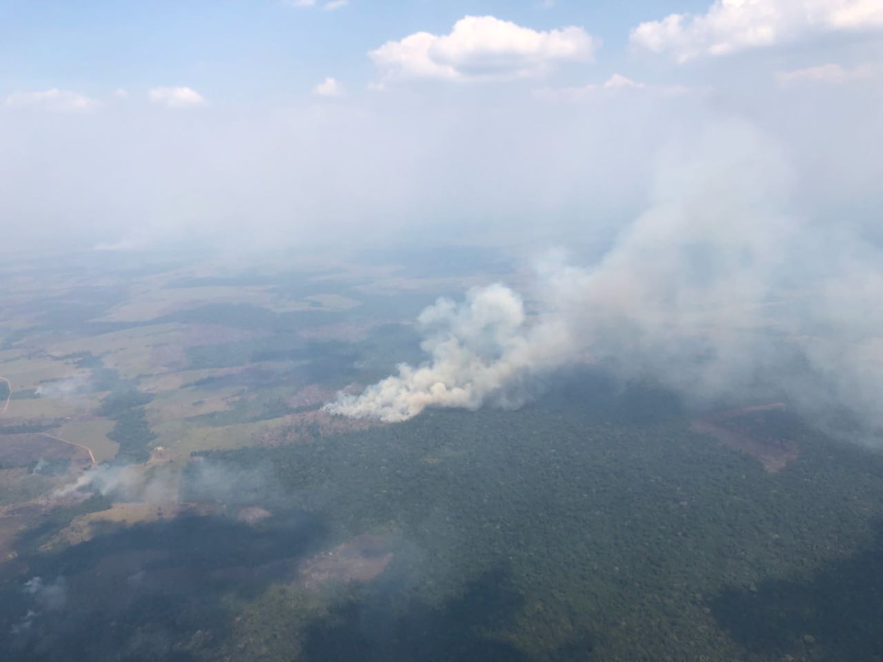 Mientras intentan controlar el incendio en la Serranía La Lindosa, en Guaviare, la deforestación avanza