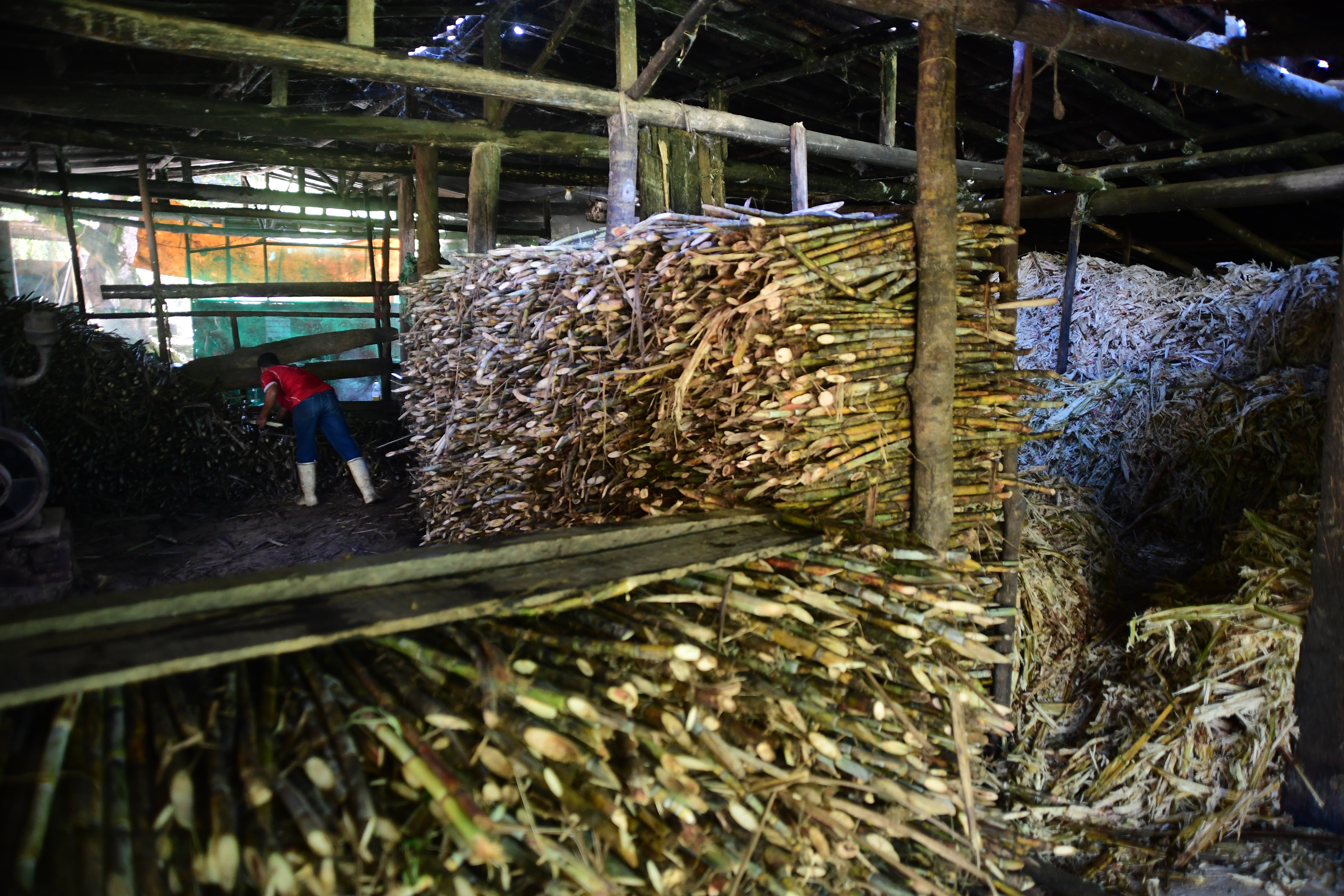 Economía circular para hacer más sostenibles departamentos del Caribe colombiano