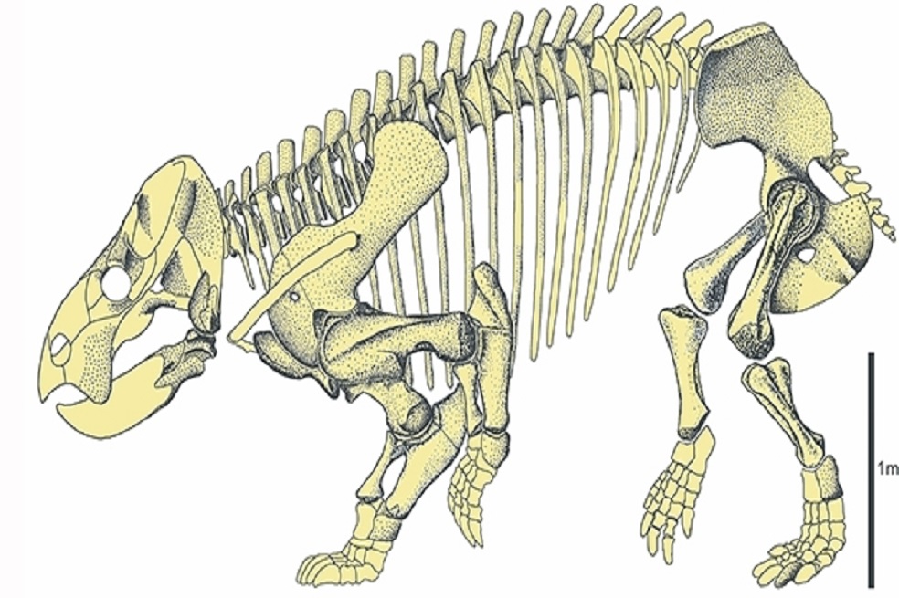 Conoce a Lisowicia bojanini, un primo gigante de los mamíferos