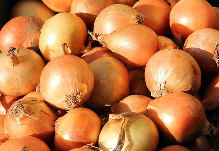 Las cebollas amarillas son ricas en antioxidantes, vitaminas y minerales, como la vitamina C, el ácido fólico, el potasio y el manganeso. También tienen propiedades antiinflamatorias y pueden apoyar la salud cardiovascular, y, además, tienen un ciclo de crecimiento relativamente rápido, lo que le permite cosecharlas en un período de tiempo más corto en comparación con otras verduras