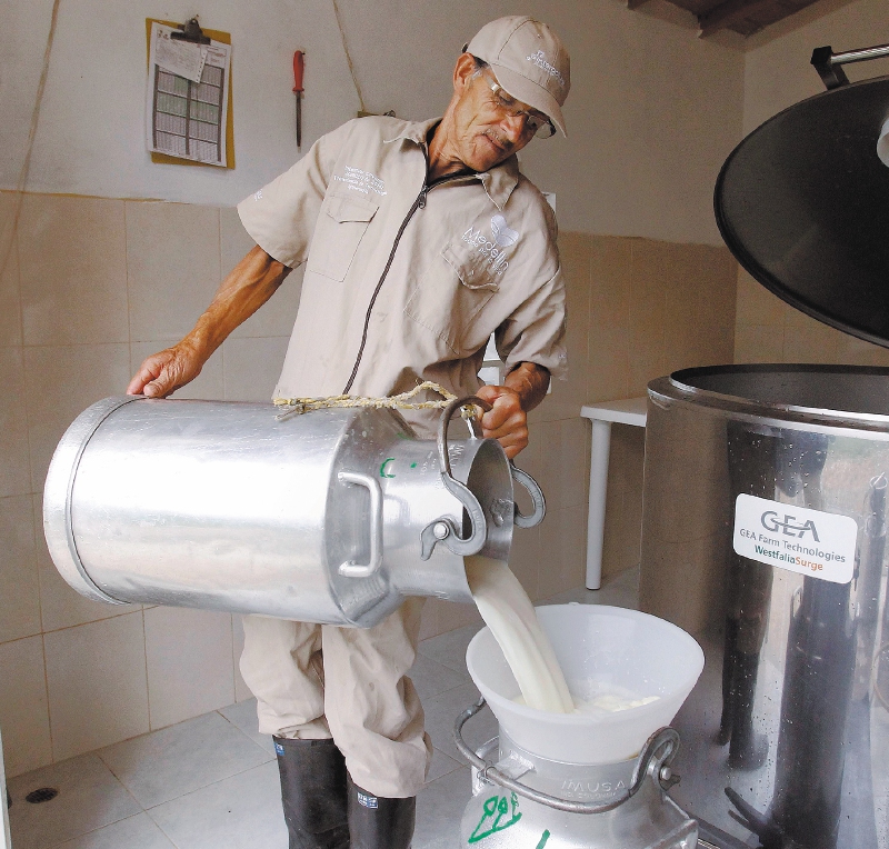 Aunque hay una leve recuperación del 0,9 % en el consumo de leche en 2024, no es suficiente para revertir la crisis, de acuerdo con las cuentas de Asoleche. / EFE