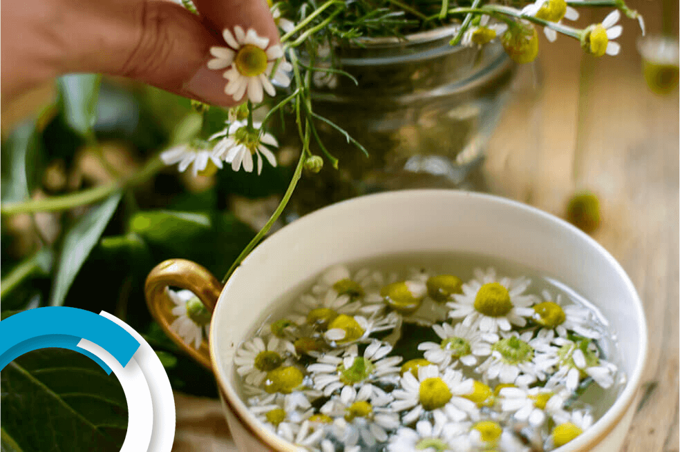 Agua de hierbas: ¿qué tan buenas son para la salud?