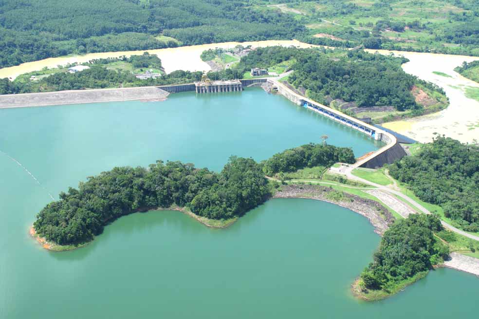 Bosques y agua: energía para el futuro