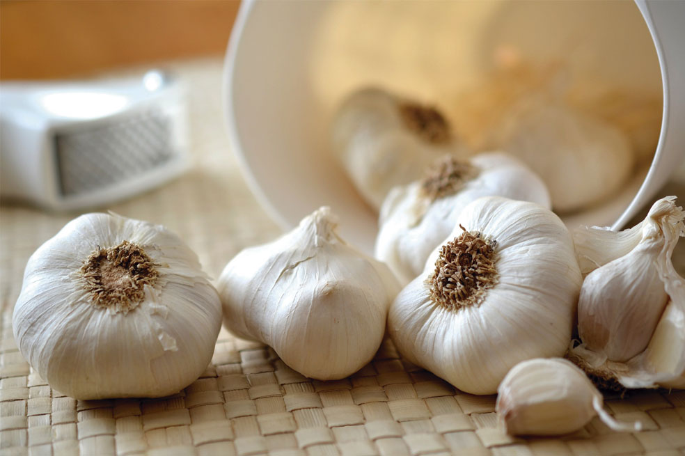 Beneficios de consumir ajo en ayunas para nuestro organismo