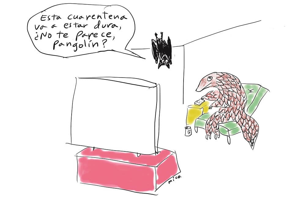 Mico