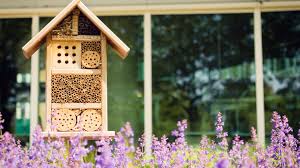 Hoteles para insectos: transforme su jardín en un paraíso para abejas y mariquitas