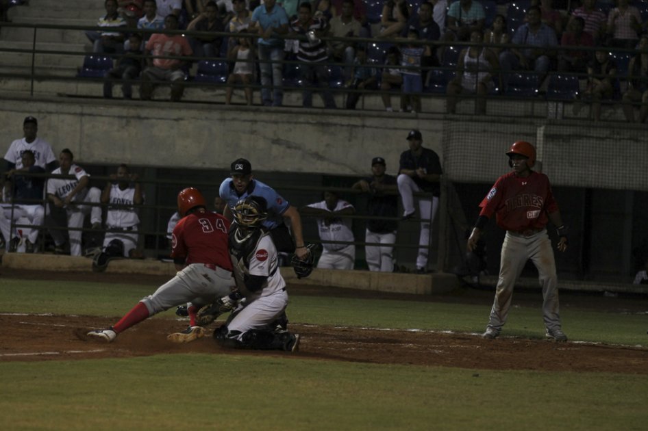 Tigres de Cartagena, campeón de la LCBP 2013/14. Foto: Tigres de Cartagena