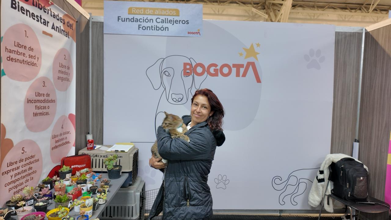 Adopta un perro adulto: la invitación de la fundación Callejeros de Fontibón