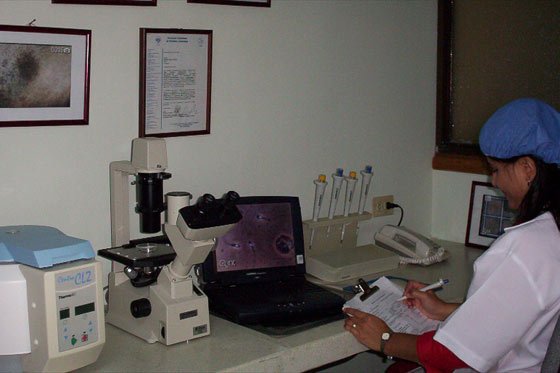 CIDH condena a Costa Rica por prohibición de fecundación in vitro