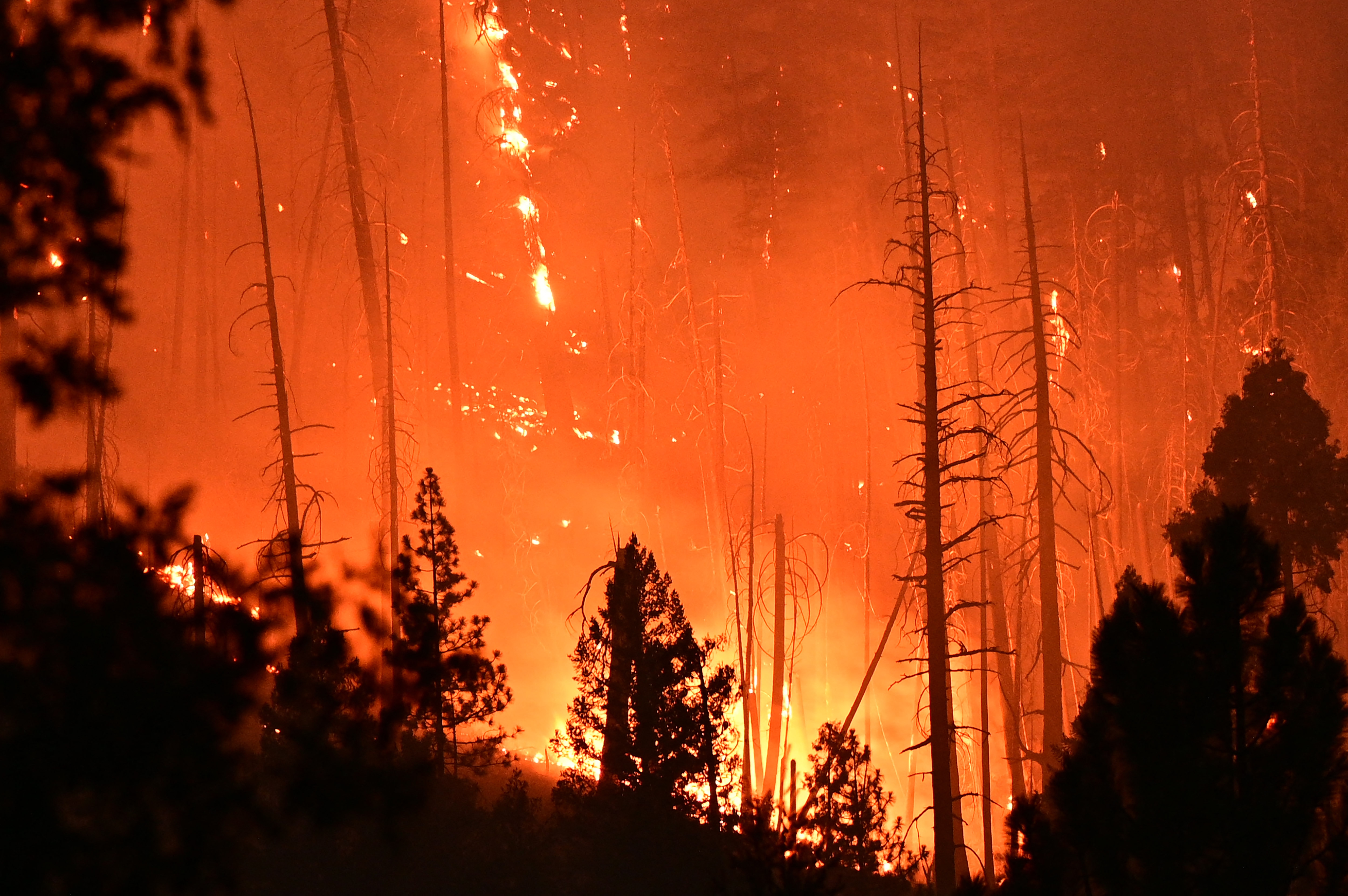 Incendio en California ya devoró una superficie equivalente a Chicago, EE.UU.