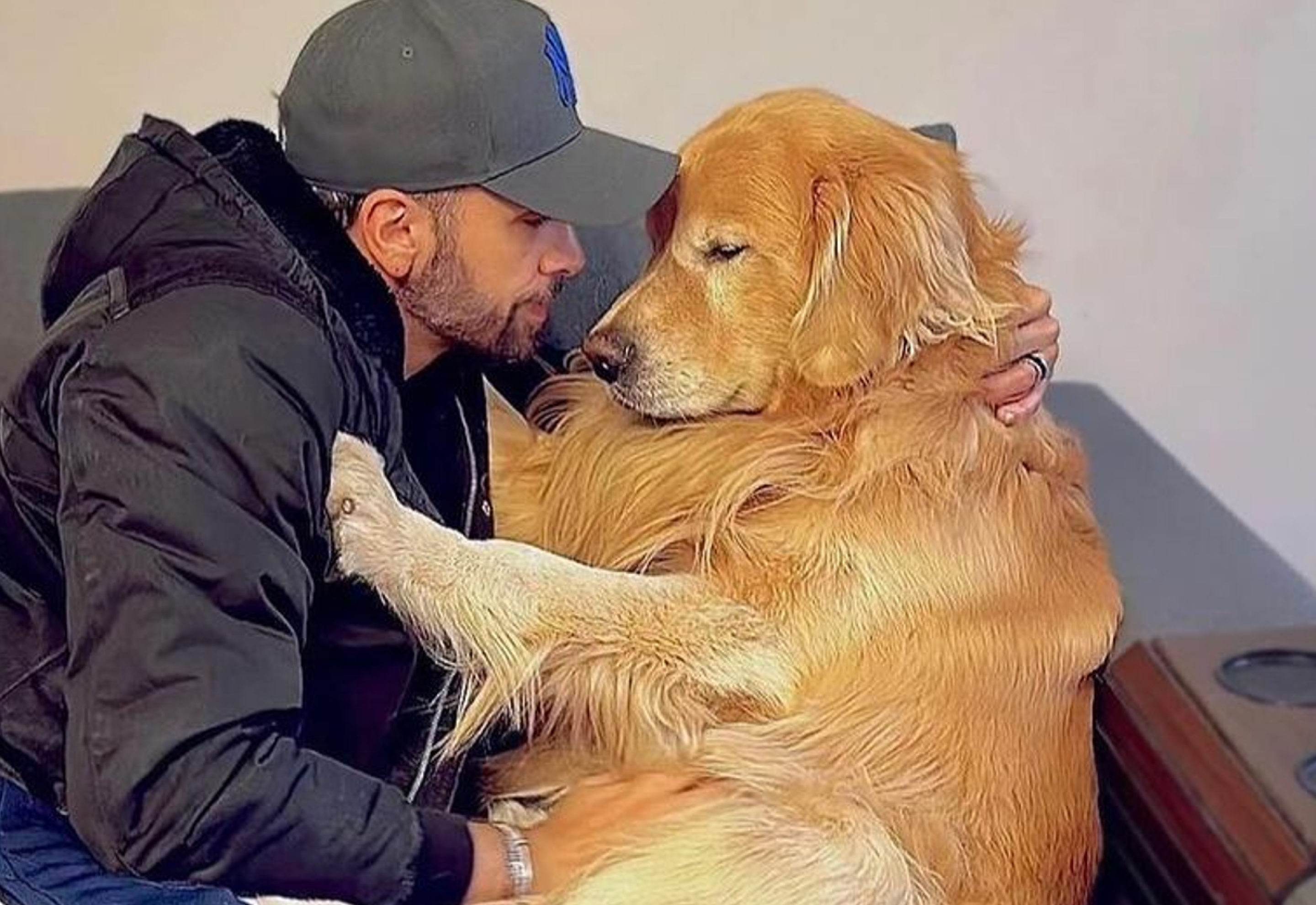 Denuncian que perro murió en vuelo equivocado en Brasil: presidente se pronunció