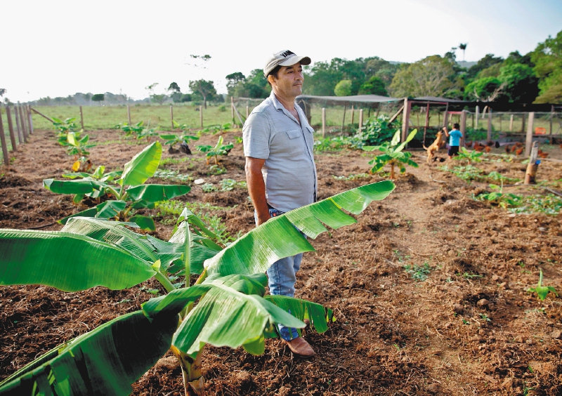 Lo que dice el dato de precios a los productores sobre la inflación en Colombia