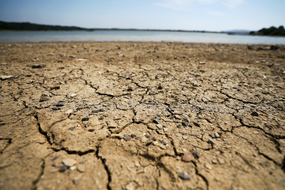 Acción contra el cambio climático aportaría US$36 billones a economía mundial