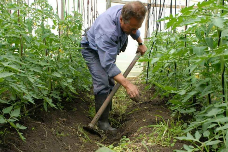 Significativa caída en desempleo rural, destacó minagricultura