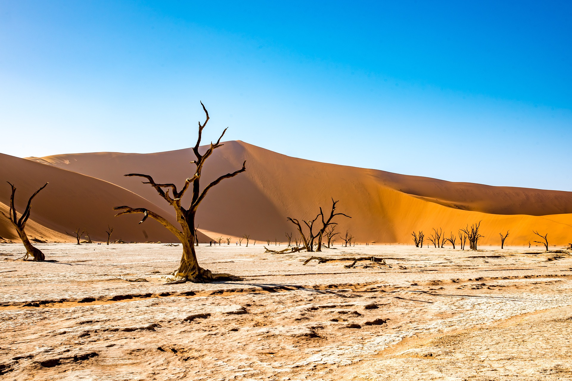 Namibia, lugar imperdible.