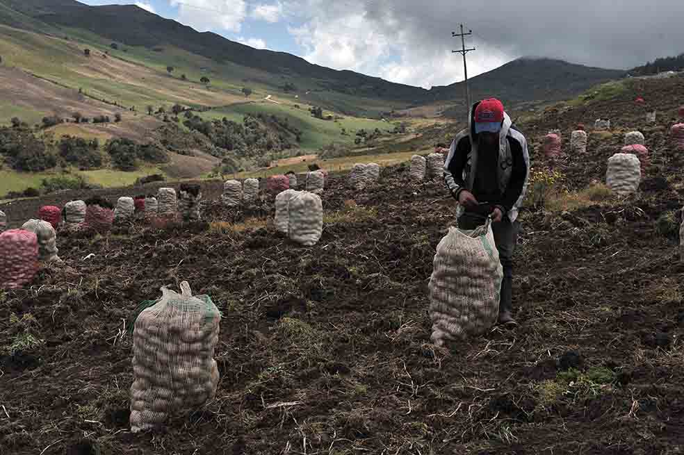 Más allá de la baja inflación de 3,66%