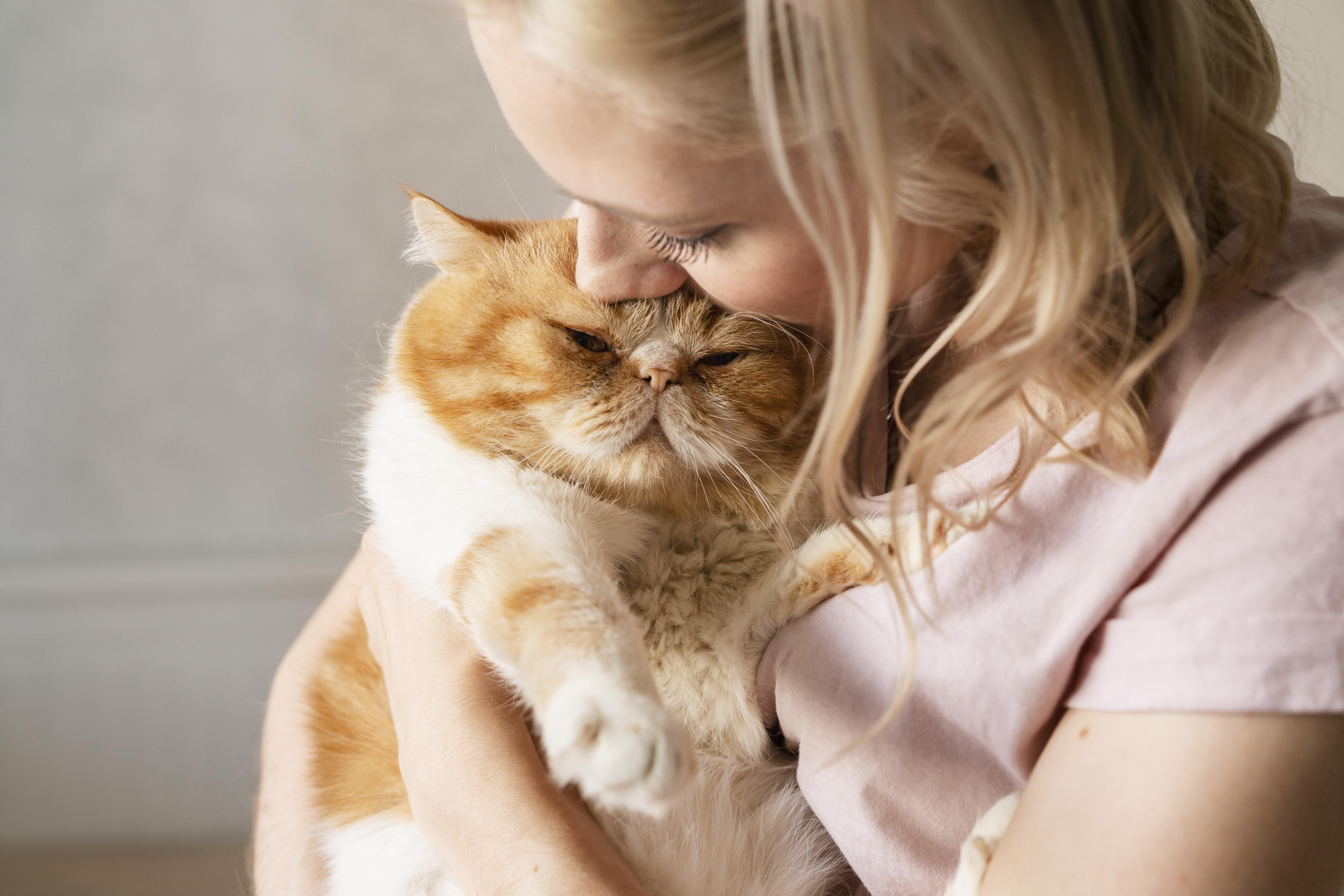 ¿Qué significan los humanos para los gatos?