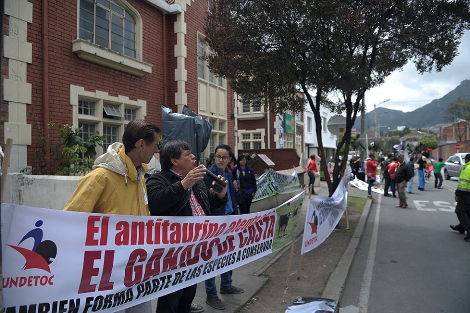 El Consejo de Estado avaló los reclamos de los amigos de la fiesta brava en contra de la consulta antitaurina. / Cristian Garavito