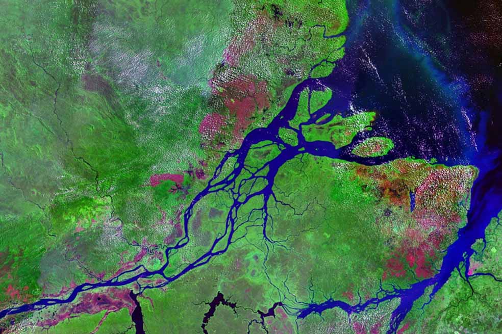 Brasil, líder mundial en reducción de emisiones de CO2
