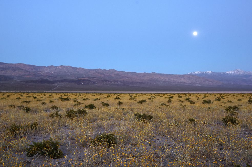 La Nasa además señaló que el evento es una luna llena. Desde las 7:49 de la noche comenzó a ser visible en la mayoría de países. En otros, el fenómeno se presentó un poco antes.