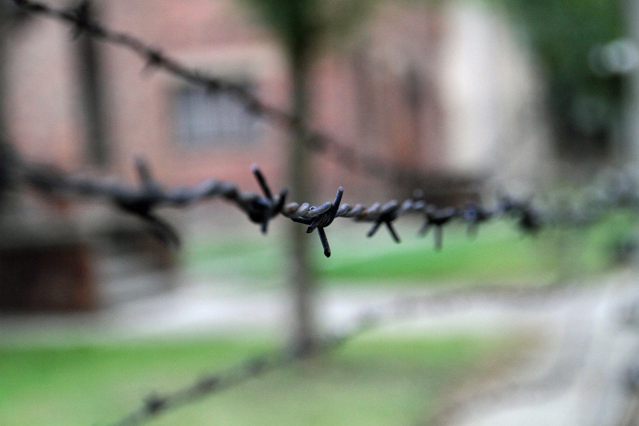 Superviviente del Holocausto y estrella de TikTok murió a los 100 años