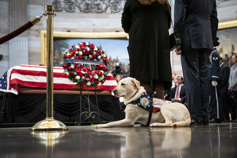 En fotos: Así se despidió el perro Sully del expresidente George H.W. Bush