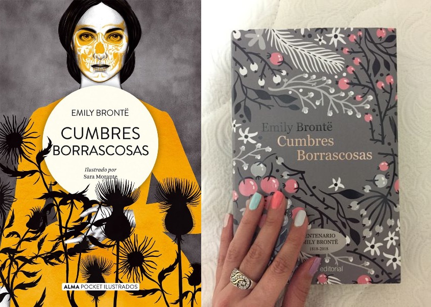 Esta novela clásica inglesa cuenta la apasionada historia de amor entre Heathcliff y Cathy.