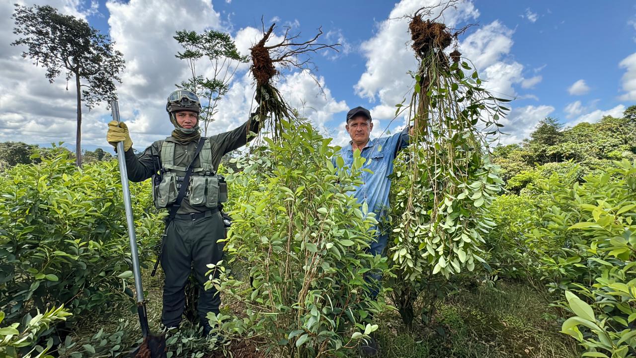 Familias de Villagarzón (Putumayo) erradicarán voluntariamente 14.500 hectáreas de coca