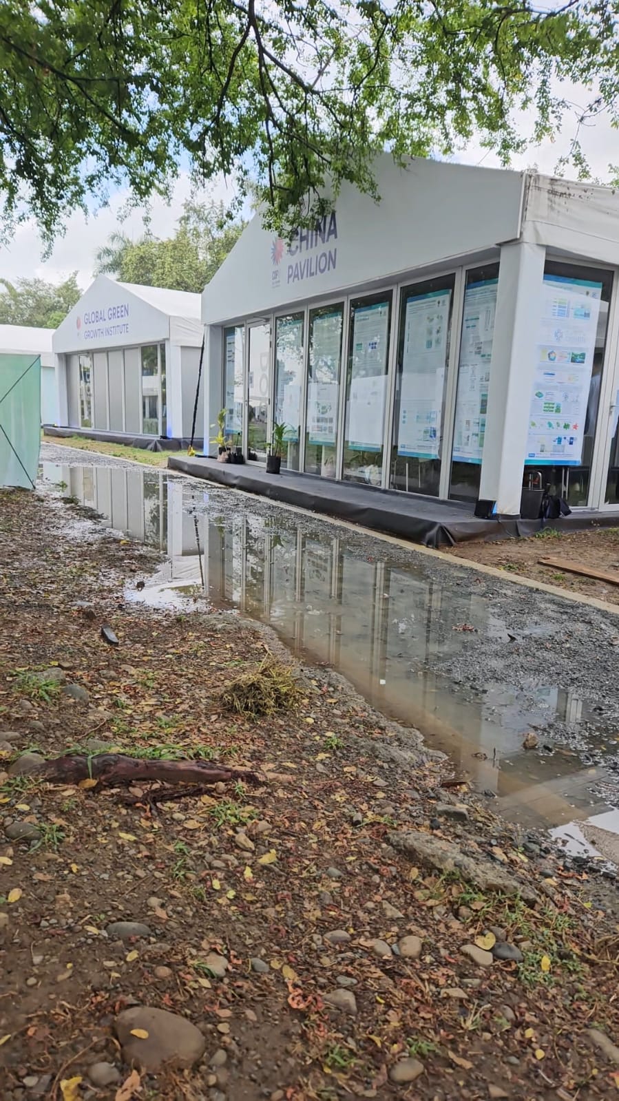 Inundaciones COP16
