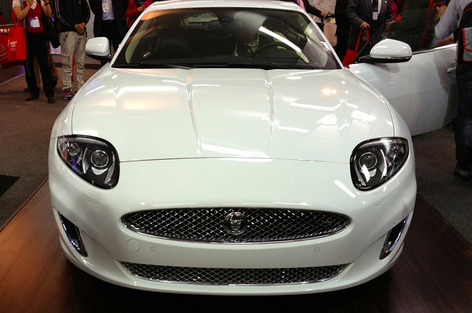 Un Jaguar anda suelto en Corferias