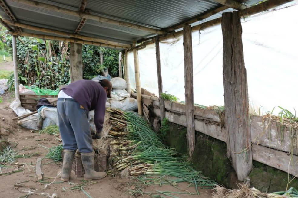 Así avanzan los proyectos que fortalecen el desarrollo de la economía