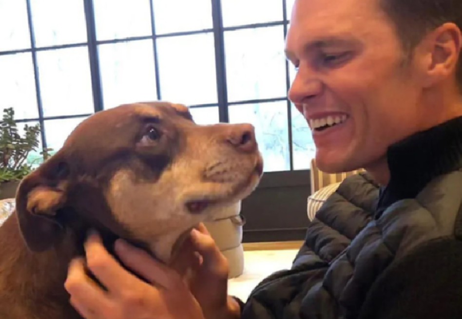 Exjugador de la NFL Tom Brady presenta a Junie, clon de su perrita fallecida Lua
