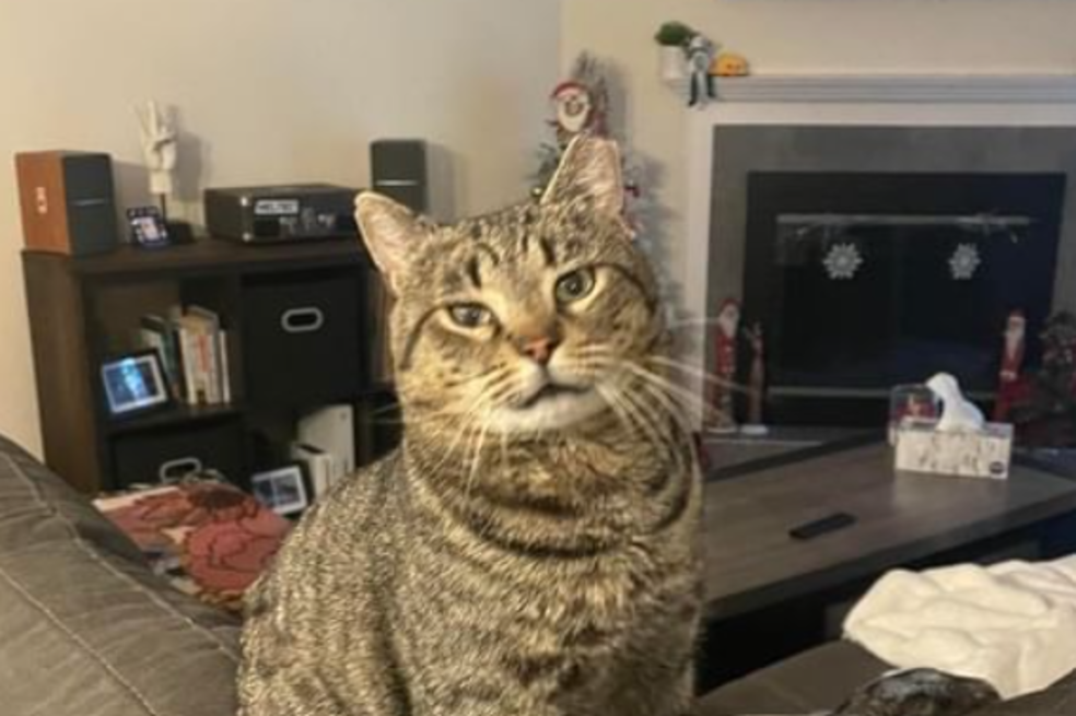 Bubba