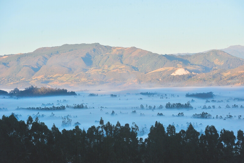 ¿Por qué Cundinamarca no está en emergencia?