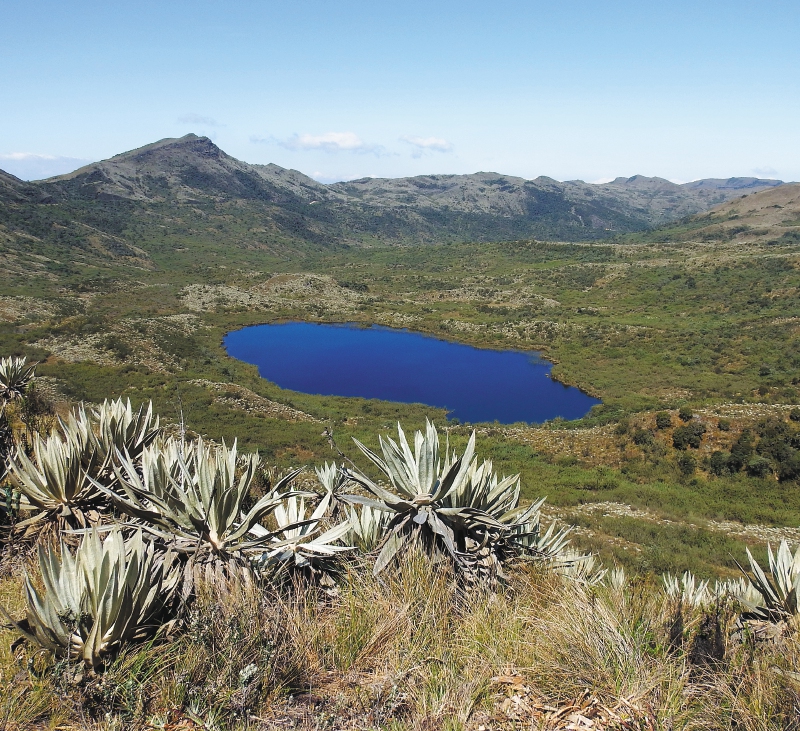 La Unión Europea ratifica su compromiso ambiental con Colombia